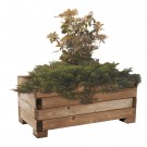Plantekasse MADERA i furu 1000 × 1000 thumbnail