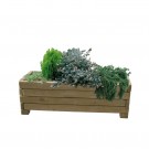 Plantekasse MADERA i furu 1800 × 600 thumbnail