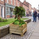 Plantekasse MADERA i furu 600 × 600 thumbnail