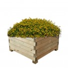 Plantekasse MADERA i furu 600 × 600 thumbnail